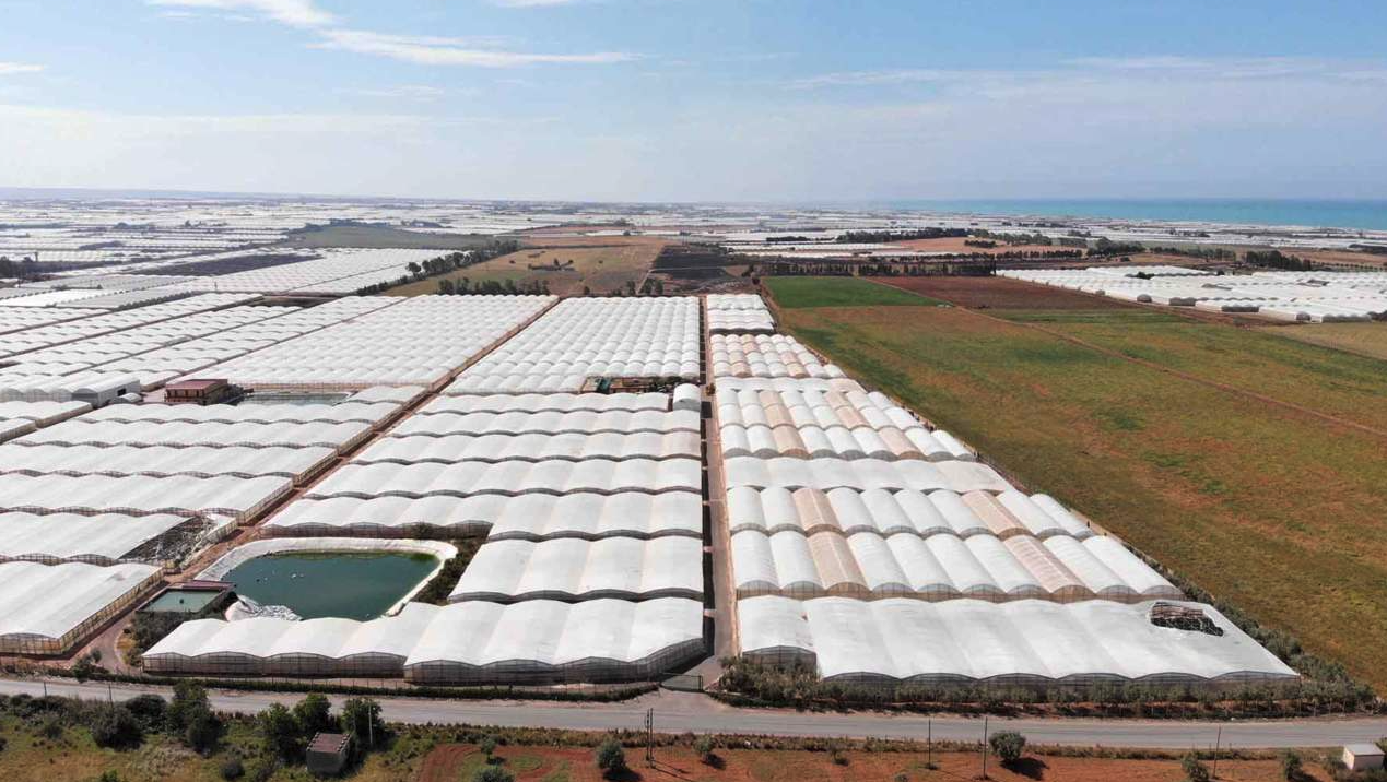 NP-bioTech scelta per la valorizzazione degli scarti agricoli